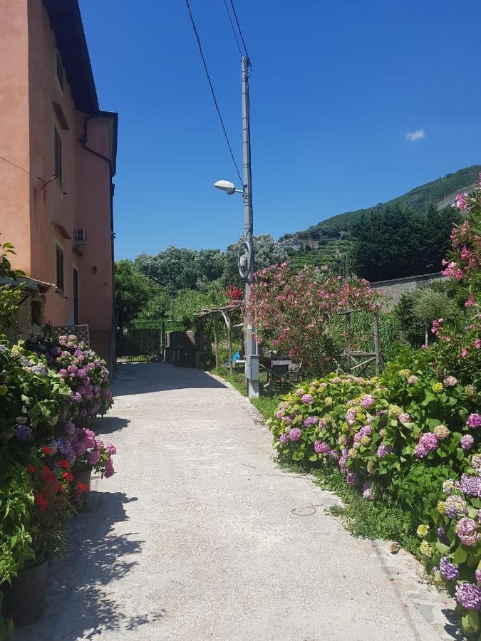 Casa Nonna Anna Villa Maiori Exteriör bild